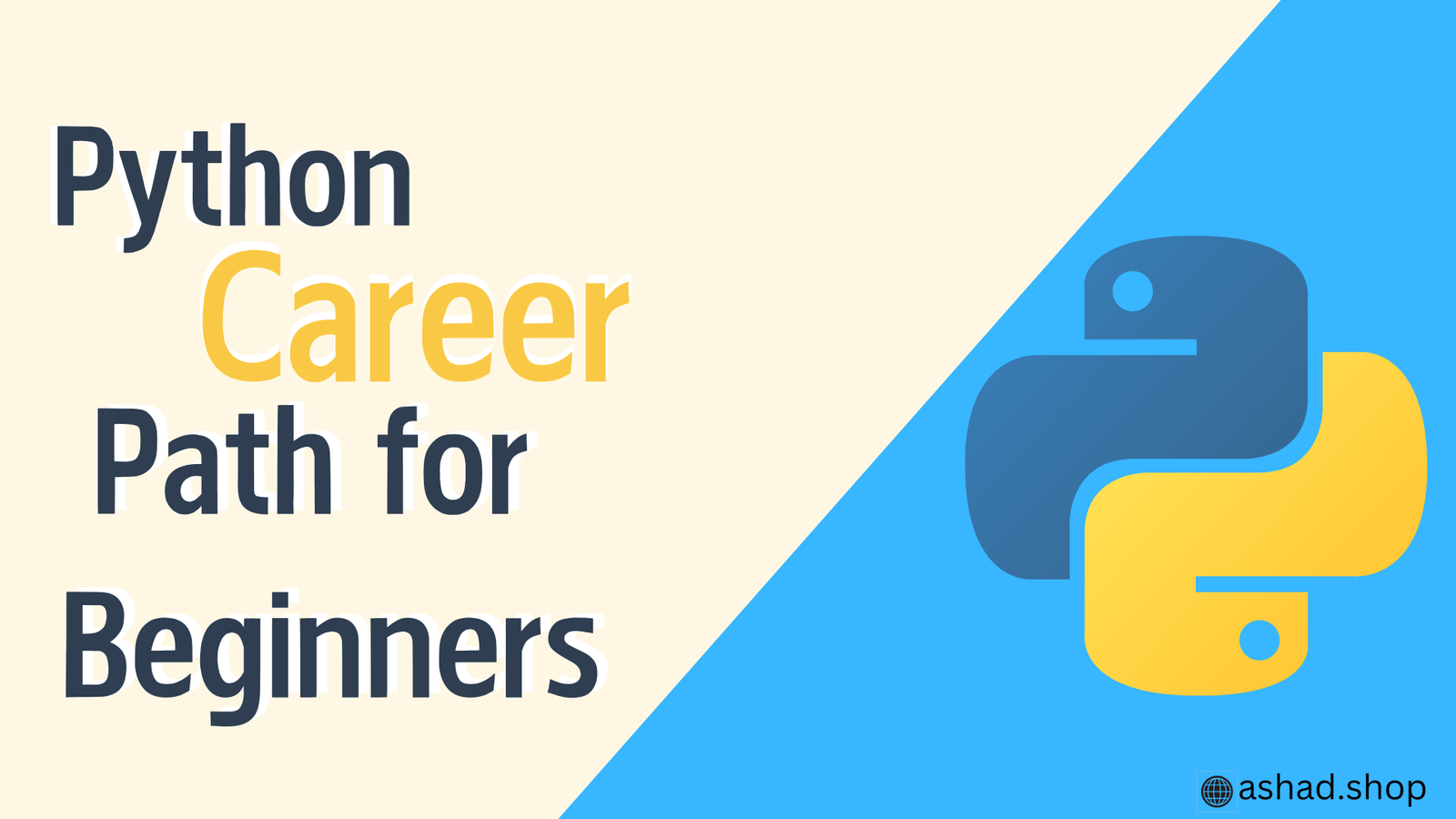 Python Career Path for Beginners